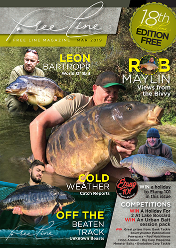 Freeline March 2019 cover image
