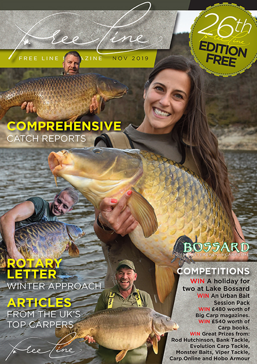 Freeline November 2019 cover image