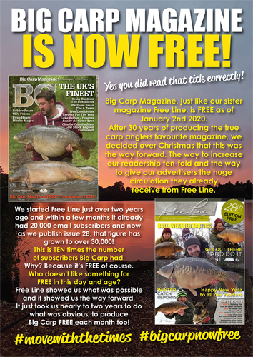 Freeline January 2020 cover image
