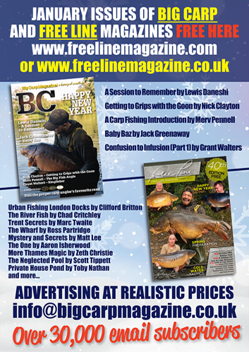 Freeline January 2021 cover image