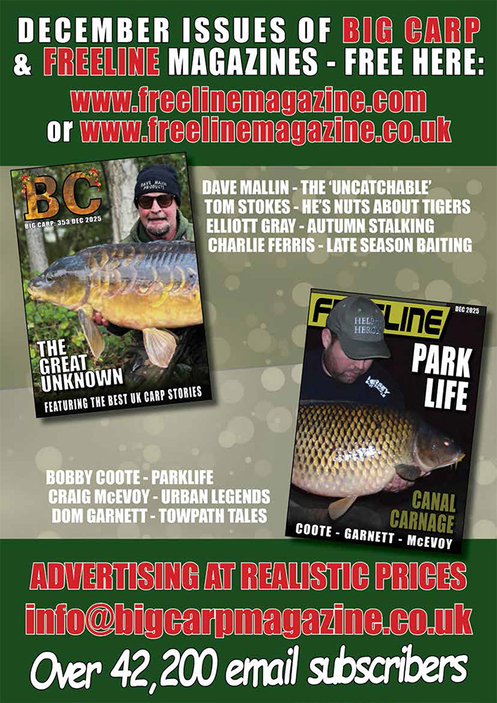 Freeline December 2025 cover image