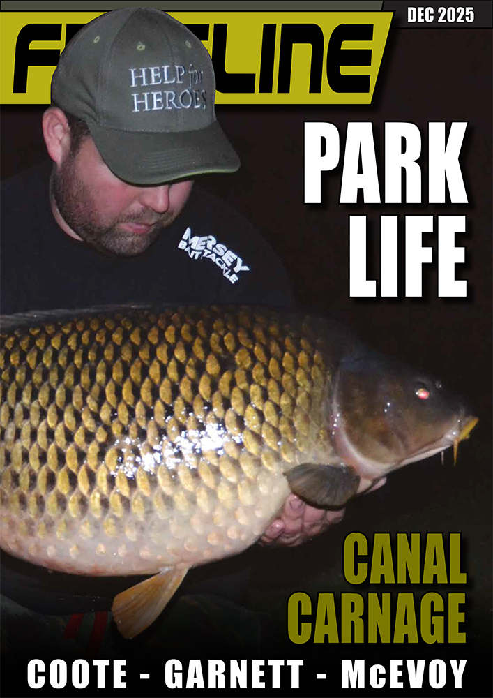 Freeline December 2025 cover image