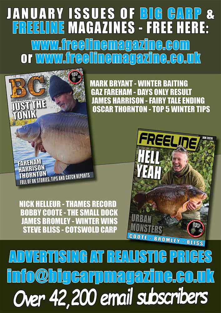 Freeline January 2026 cover image