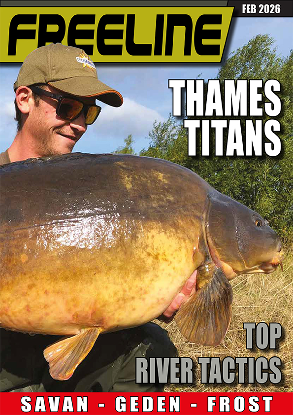 Freeline February 2026 cover image