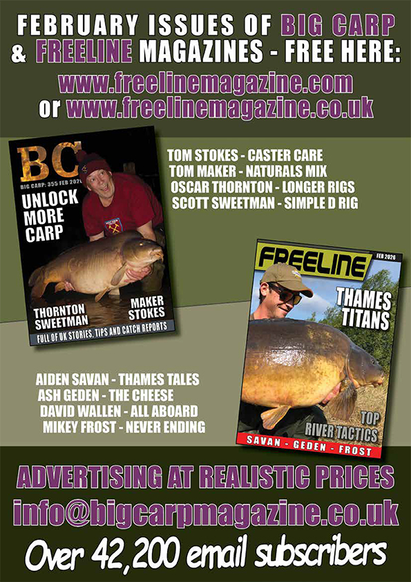 Freeline February 2026 cover image