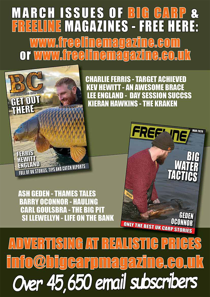 Freeline March 2026 cover image