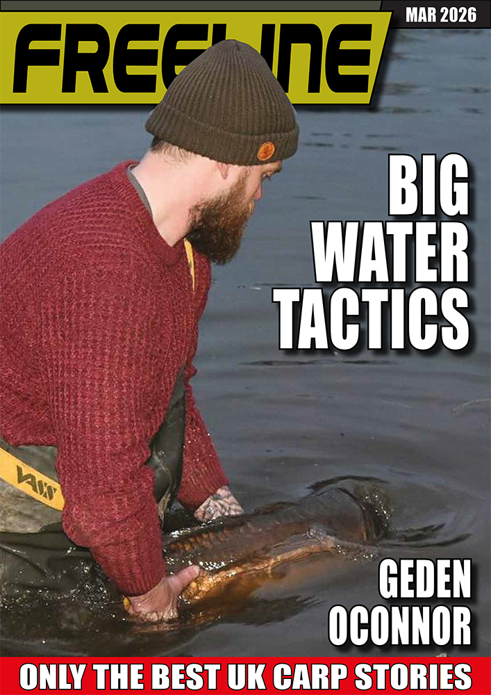 Freeline March 2026 cover image