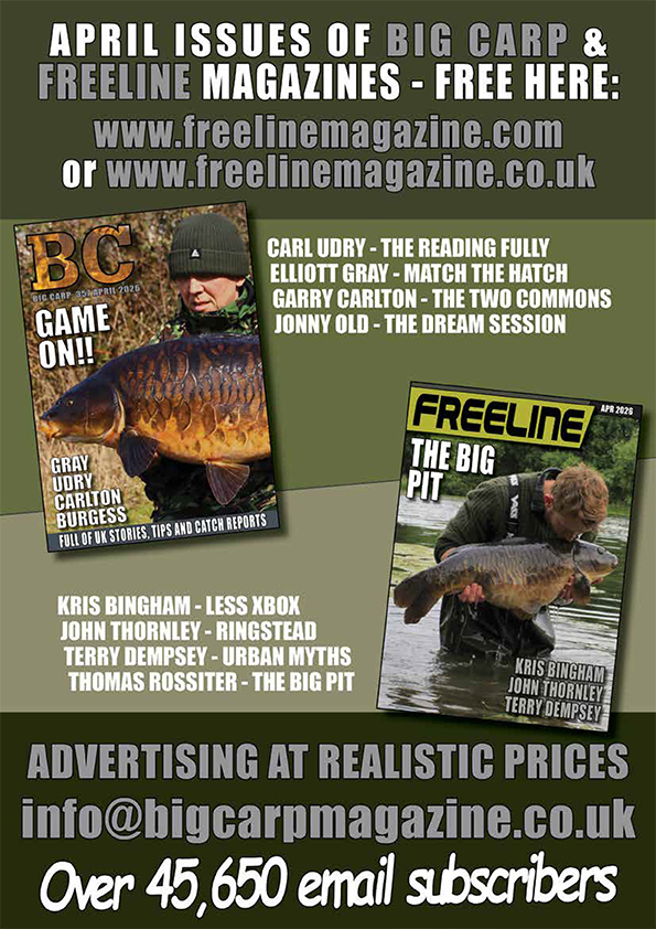 Freeline April 2026 cover image