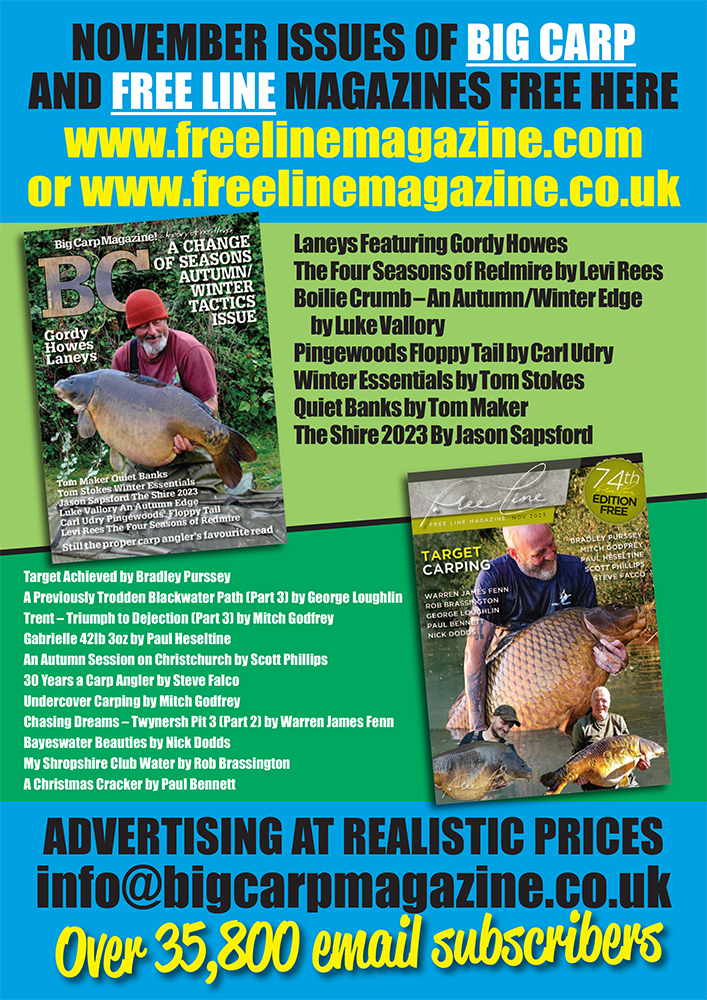 Freeline November 2023 cover image