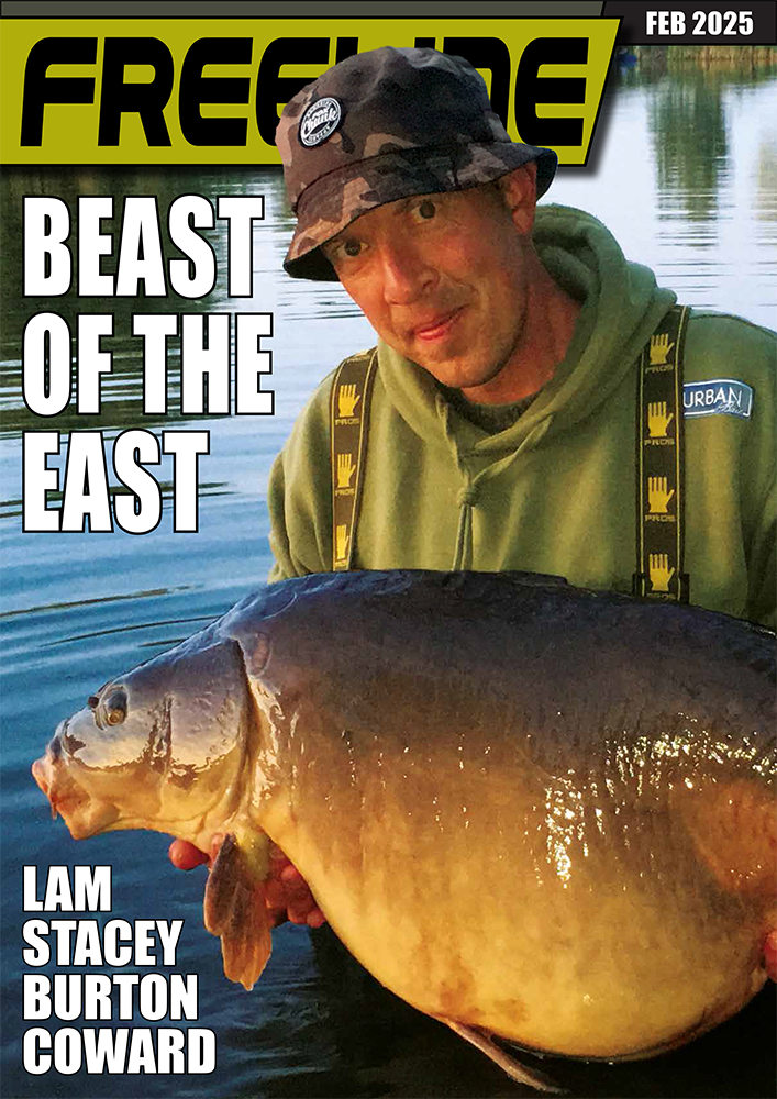 Freeline February 2025 cover image