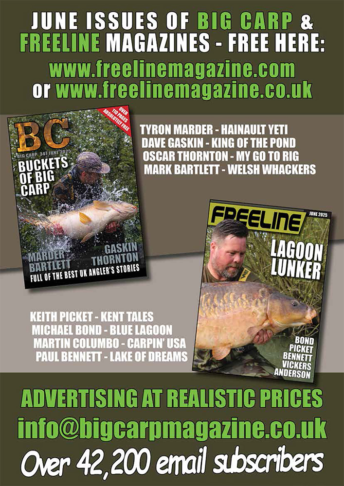 Freeline June 2025 cover image