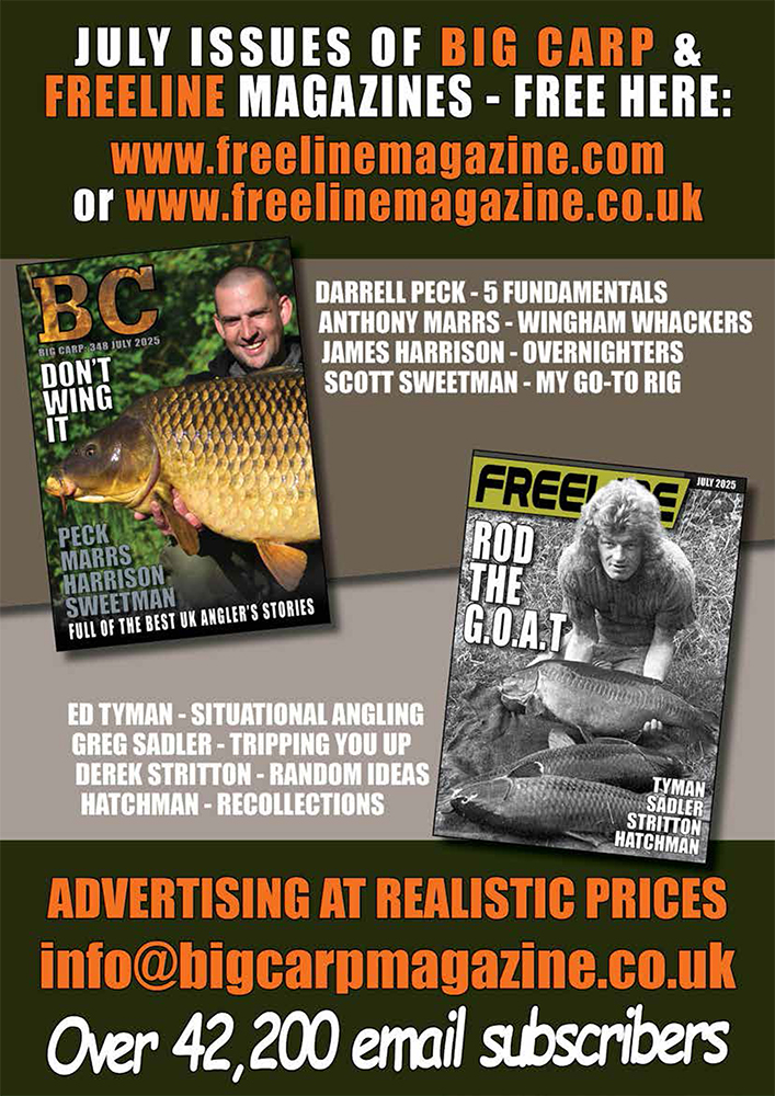 Freeline July 2025 cover image