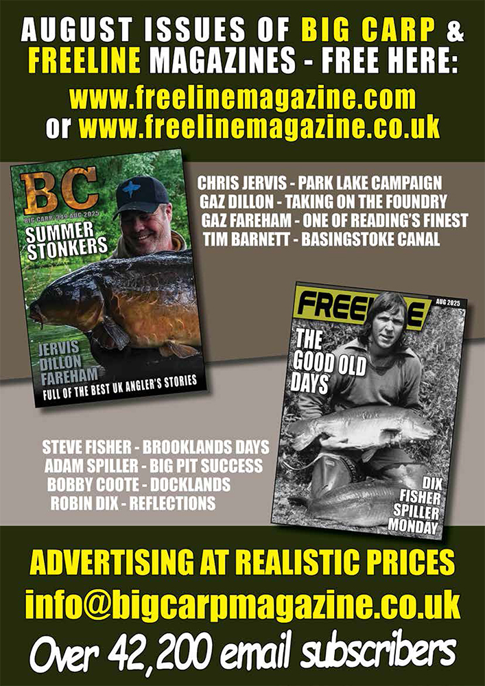 Freeline August 2025 cover image