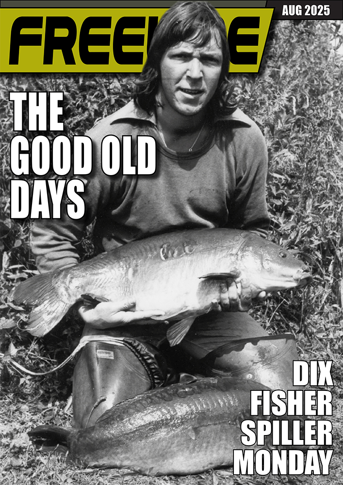 Freeline August 2025 cover image