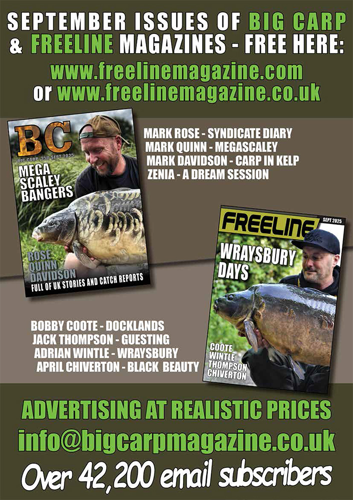 Freeline September 2025 cover image
