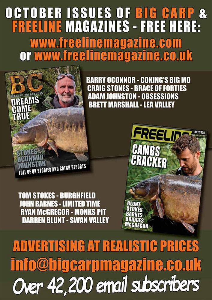 Freeline October 2025 cover image